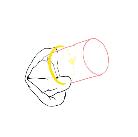 Langue & Gland